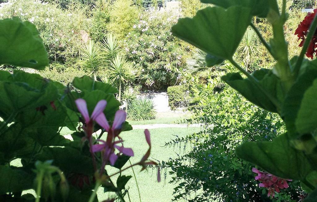 Casa Per Ferie Cardinal G. Guarino Bed and Breakfast Rome Buitenkant foto